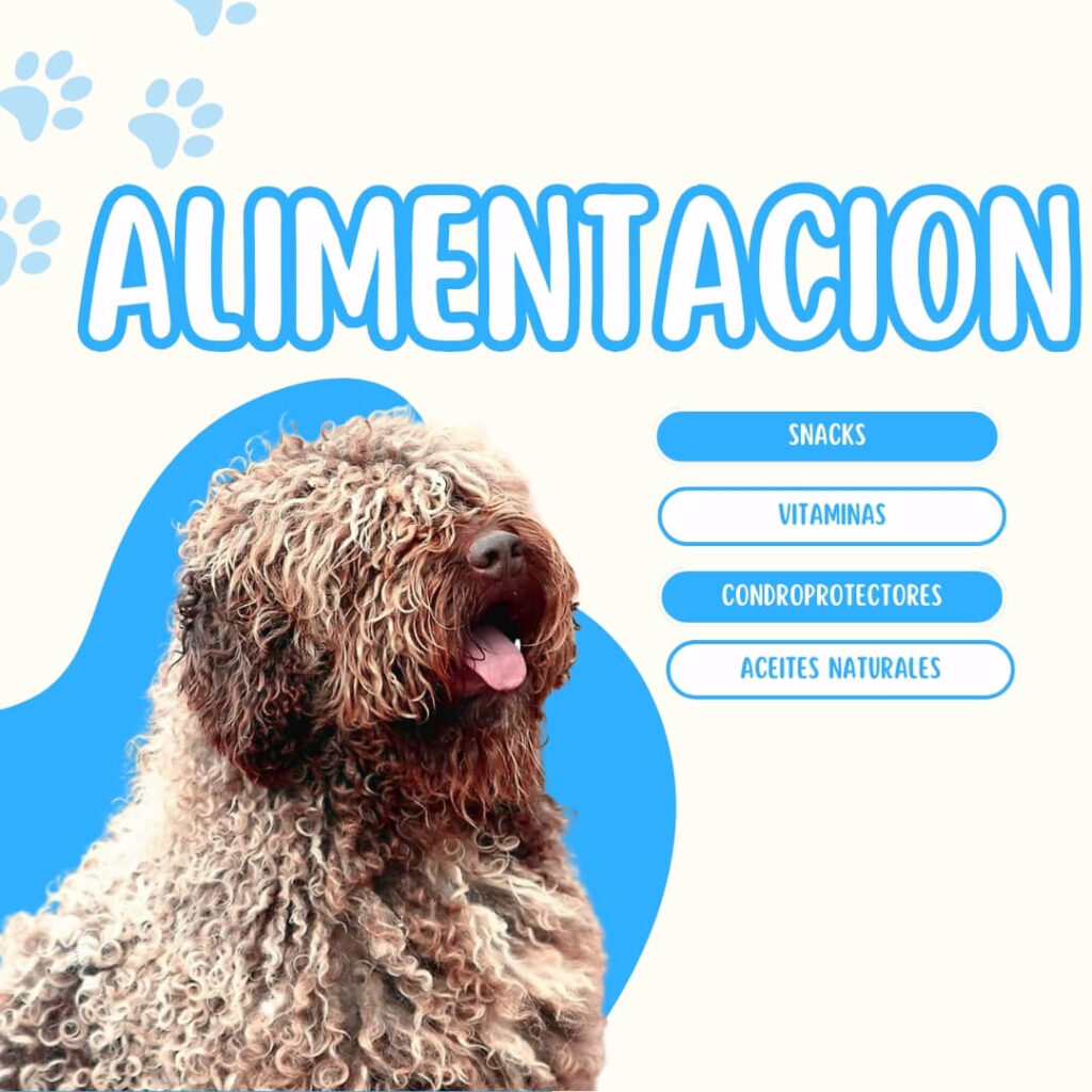 Alimentación