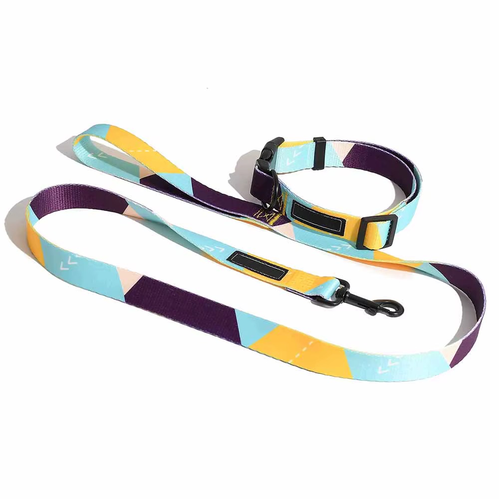 Collar y Correa para Perro Multicolor de Nylon - Imagen 6