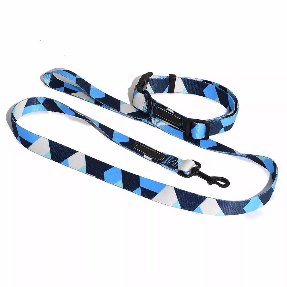 Collar y Correa para Perro Multicolor de Nylon - Imagen 7