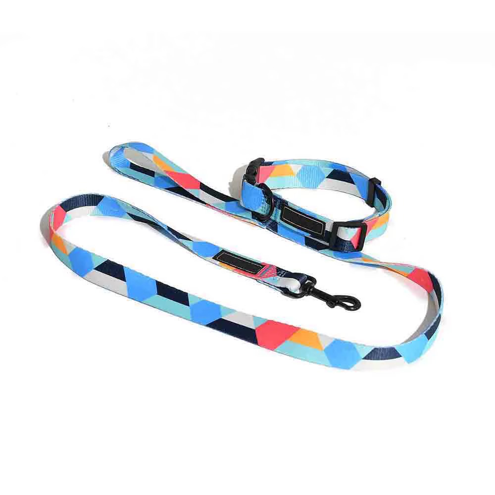 Collar y Correa para Perro Multicolor de Nylon - Imagen 9