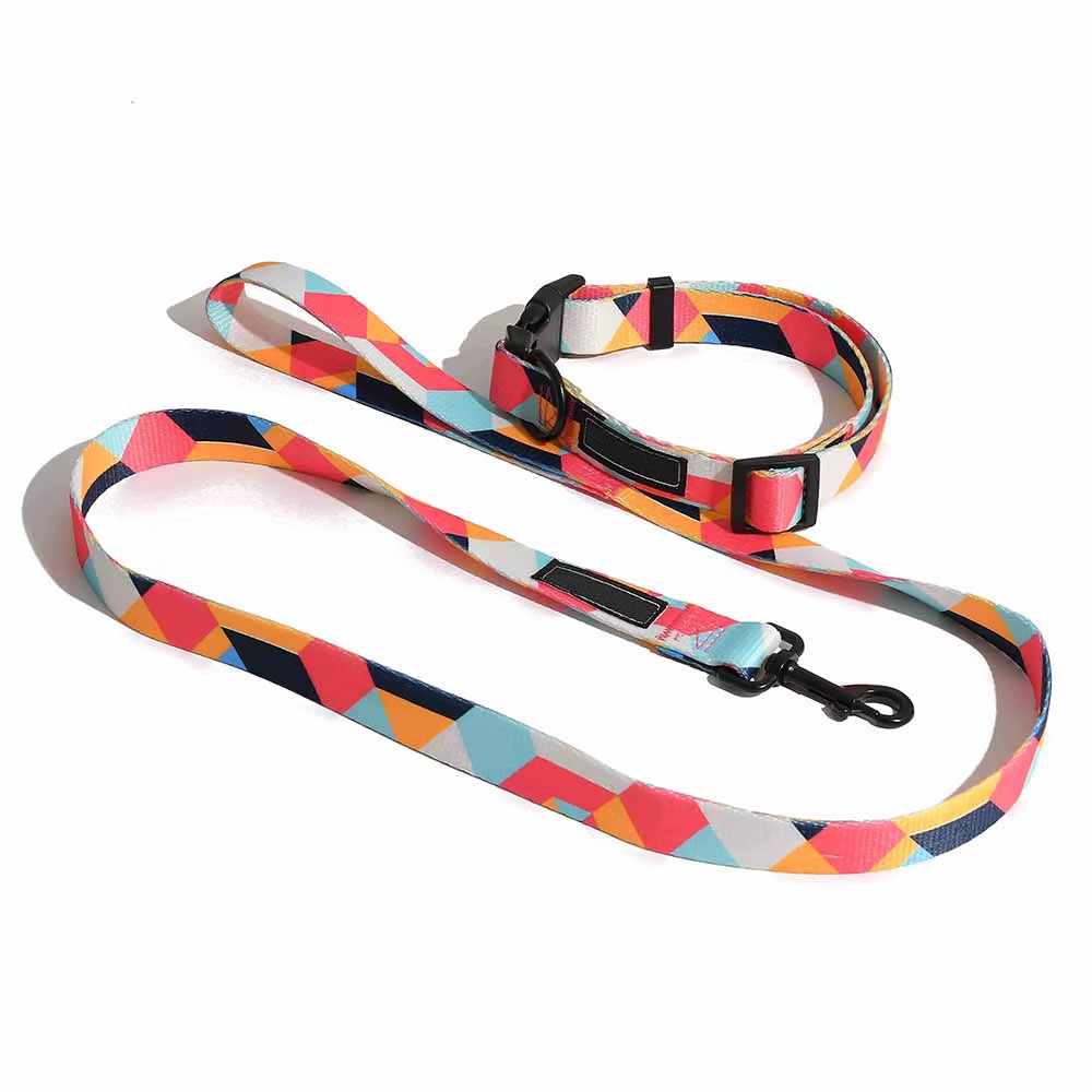 Collar y Correa para Perro Multicolor de Nylon - Imagen 8