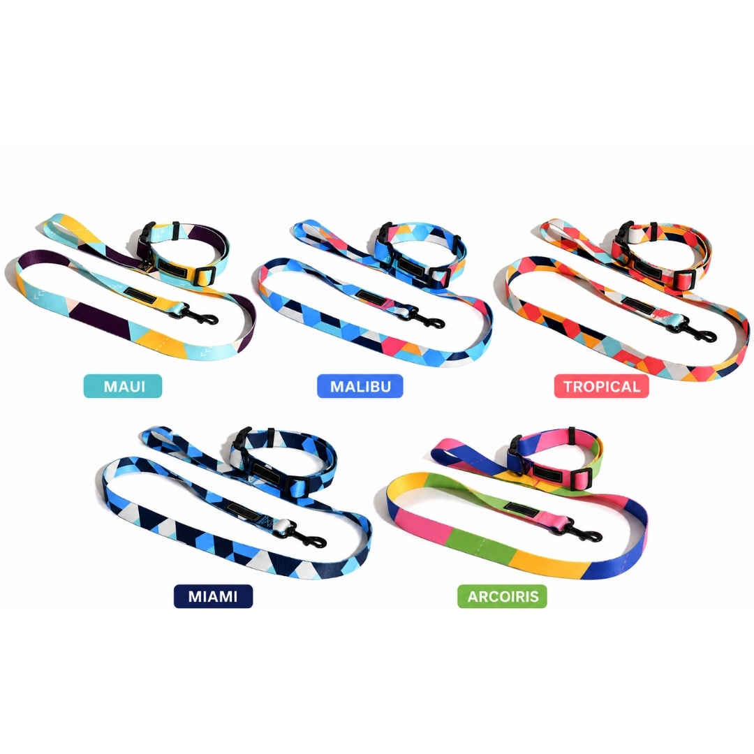 Collar y Correa para Perro Multicolor de Nylon